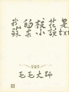 我的校花是福姬苏柔小说txt