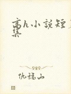 高h小说短篇合集