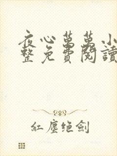 夜心万万小说完整免费阅读全文