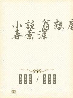 小说 翁想房中春意浓