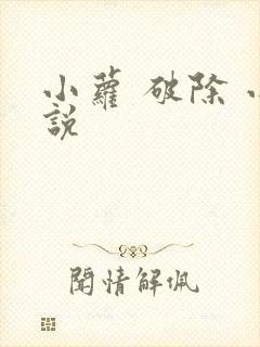 小萝 破除 小说