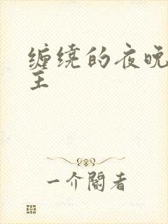 缠绕的夜晚双男主