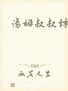 汤姆叔叔转接口