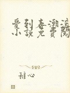 爱到春潮滚滚来小说免费阅读