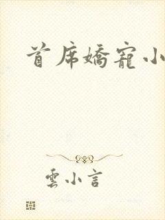 首席娇宠小情人