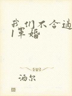 我们不合适1v1军婚