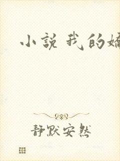 小说 我的娇妻