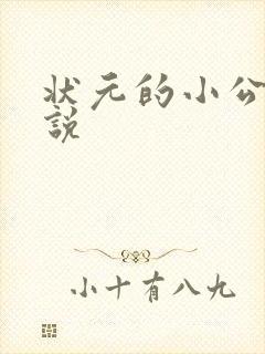 状元的小公主小说