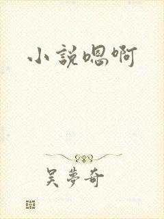 小说嗯啊
