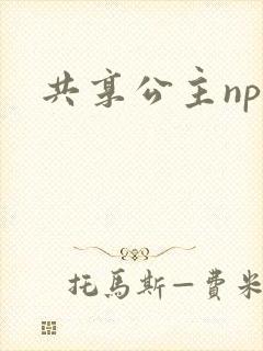 共享公主npc