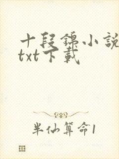 十段锦小说全本txt下载