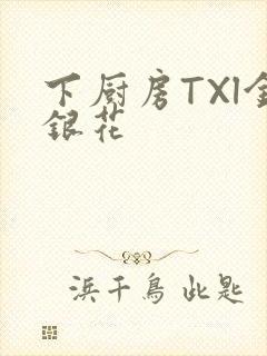 下厨房TXl金银花