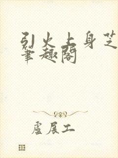 引火上身芝麻糖笔趣阁