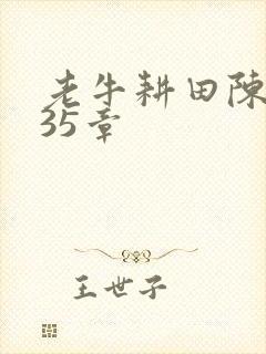 老牛耕田陈雪435章