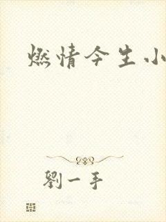 燃情今生小说