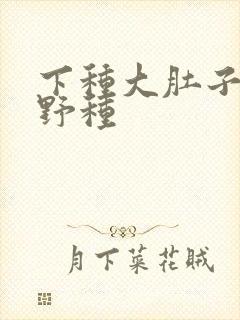 下种大肚子怀孕野种