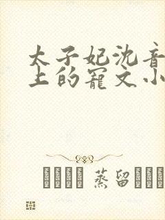 太子妃沈音和皇上的宠文小说