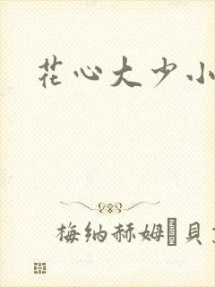 花心大少小说