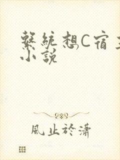 系统想C宿主的小说