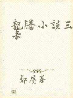 龙腾小说三宝局长