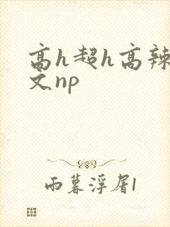 高h超h高辣h文np
