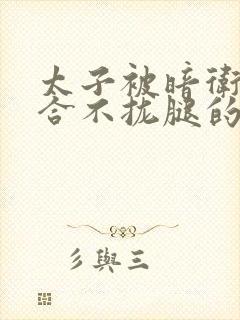 太子被暗卫c到合不拢腿的后果