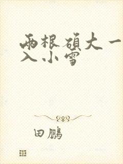 两根硕大一起挤入小雪