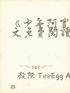 《少年阿宾》全文免费阅读