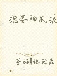 混蛋神风流记