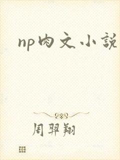 np肉文小说