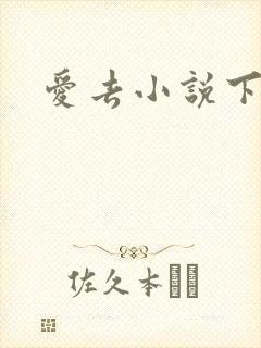 爱去小说下载网