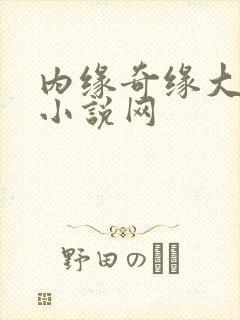 内缘奇缘大团圆小说网