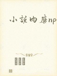 小说肉糜np