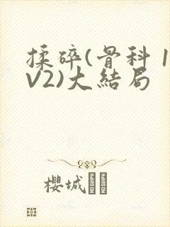 揉碎(骨科 1V2)大结局