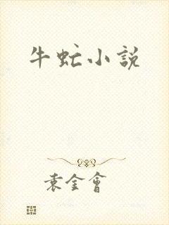 牛虻小说