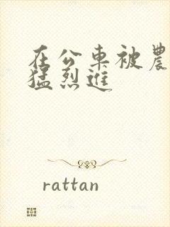 在公车被农民工猛烈进