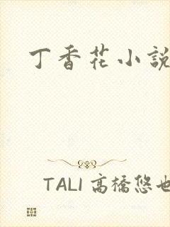 丁香花小说