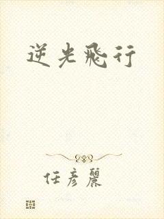 逆光飞行
