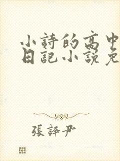 小诗的高中成长日记小说免费阅读