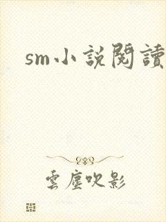 sm小说阅读