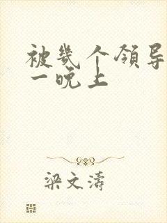 被几个领导玩弄一晚上