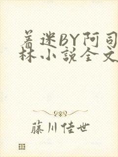 着迷BY阿司匹林小说全文免费阅读