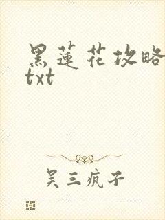 黑莲花攻略手册txt