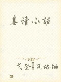 基情小说
