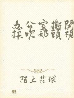 办公室撕开奶罩揉吮奶头视频