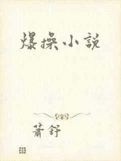 爆操小说