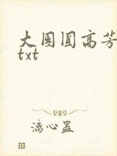 大团圆高芳小说txt