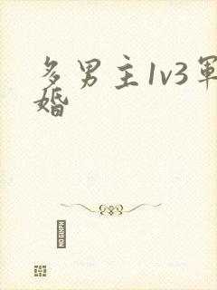 多男主1v3军婚