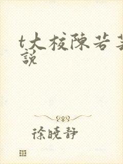 t大校陈若芸小说