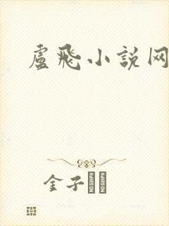 卢飞小说网